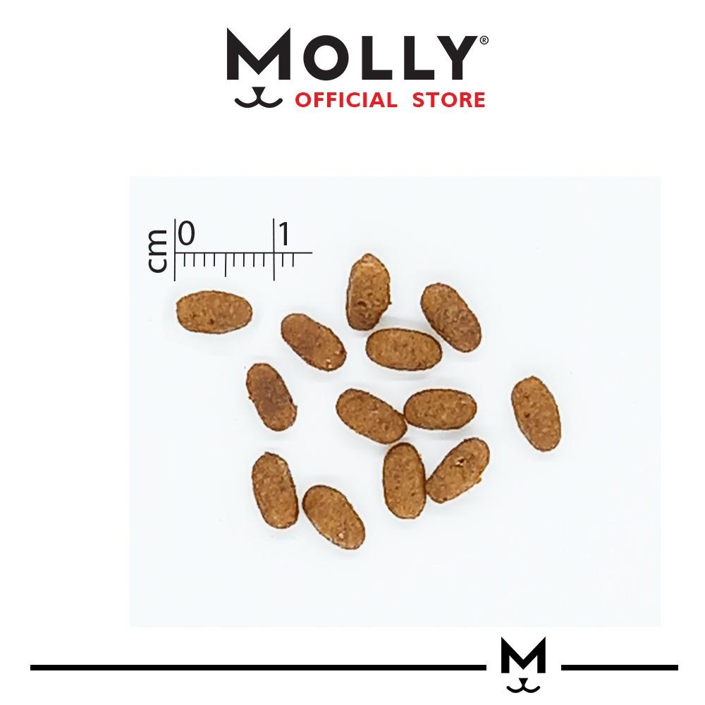 Cat food pellets with a measurement scale and 'Molly' branding on a white background