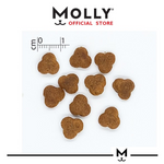 Dog treats with a measurement scale and 'Molly' branding on a white background