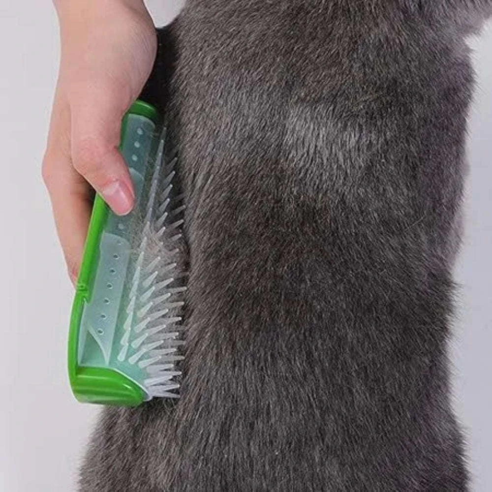 Wall Mount Cat Brush.