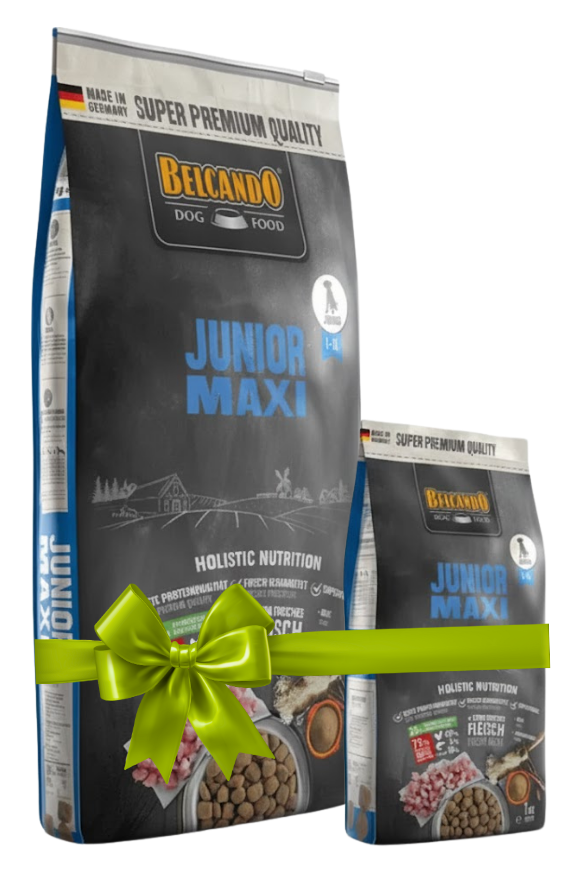 Two bags of Bélcan O Junior Maxi dog food with a green bow on a white background