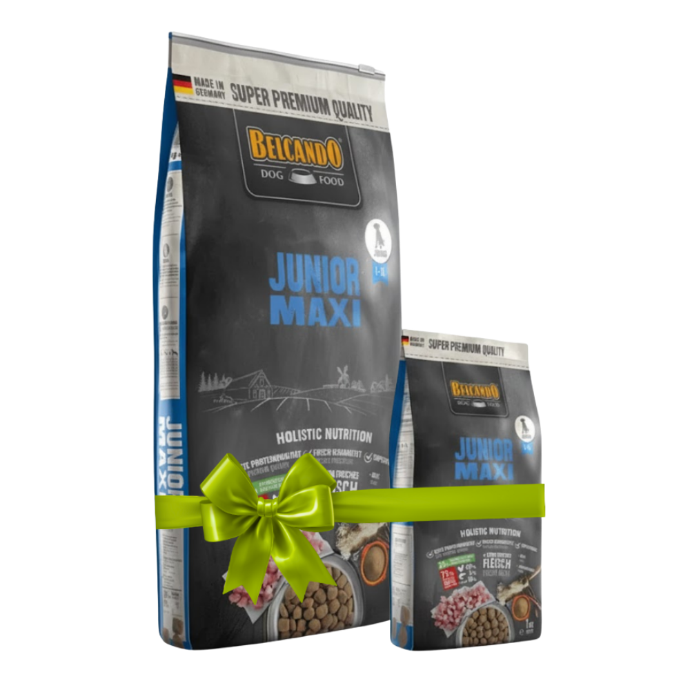 Two bags of Bélcan O Junior Maxi dog food with a green bow on a white background