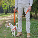 DOCO® 4ft Signature Nylon Dog Leash.
