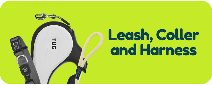 Retractable dog leash, collar, and harness on a green background with text.
