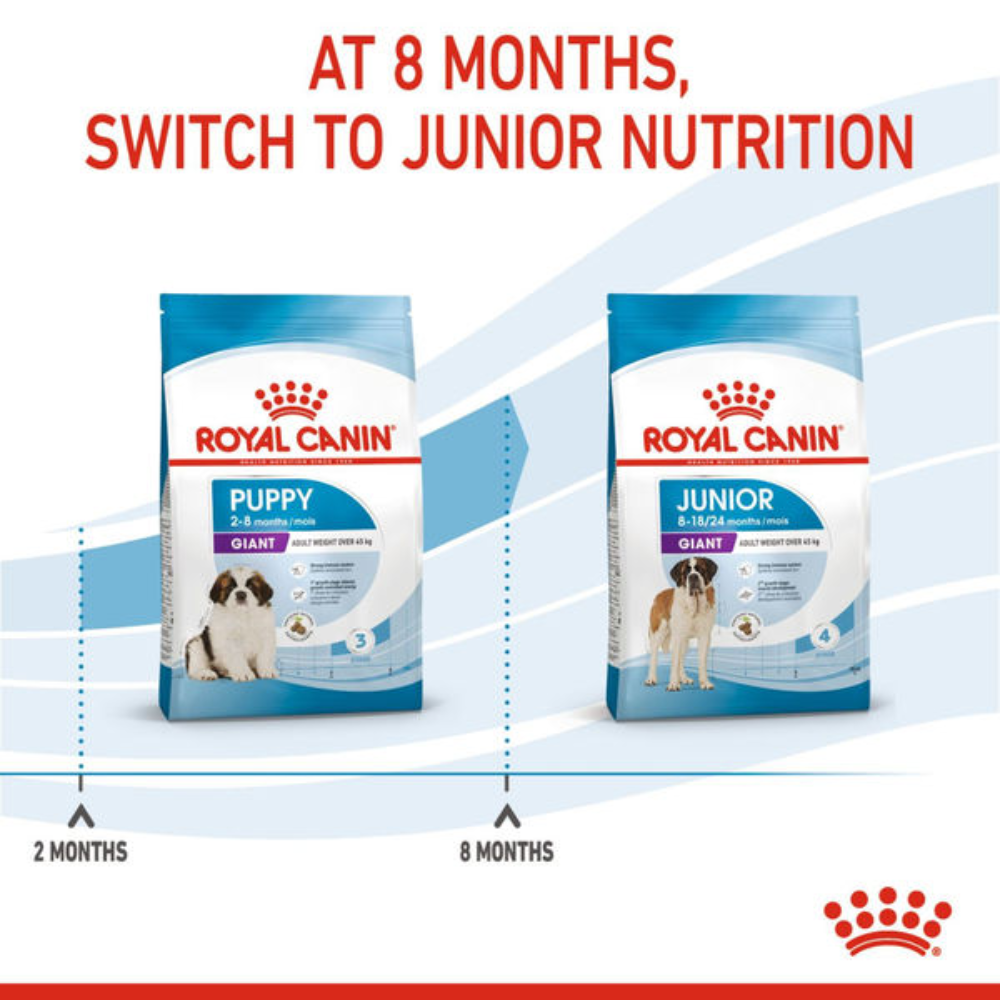 Royal Canin Puppy and Junior Nutrition dog food packages with text indicating switching at 8 months.