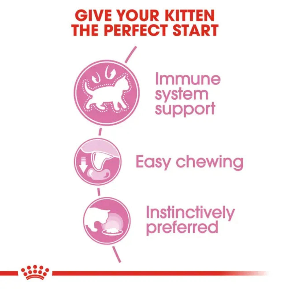 Advertisement for kitten food with immune system support, easy chewing, and instinctively preferred text on a white background.