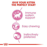Advertisement for kitten food with immune system support, easy chewing, and instinctively preferred text on a white background.