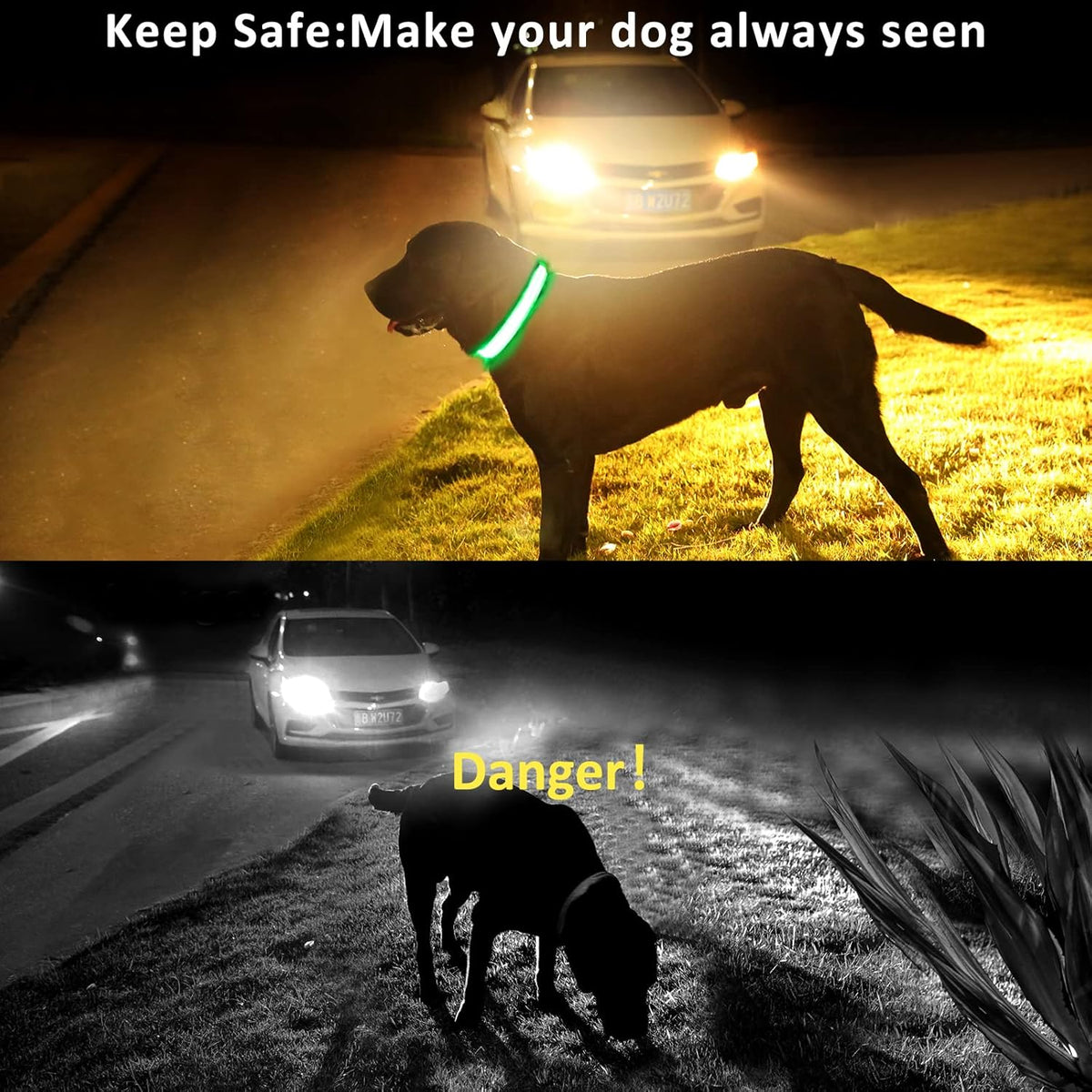 GERMPLASM DOG LED COLLAR SMALL GREEN.