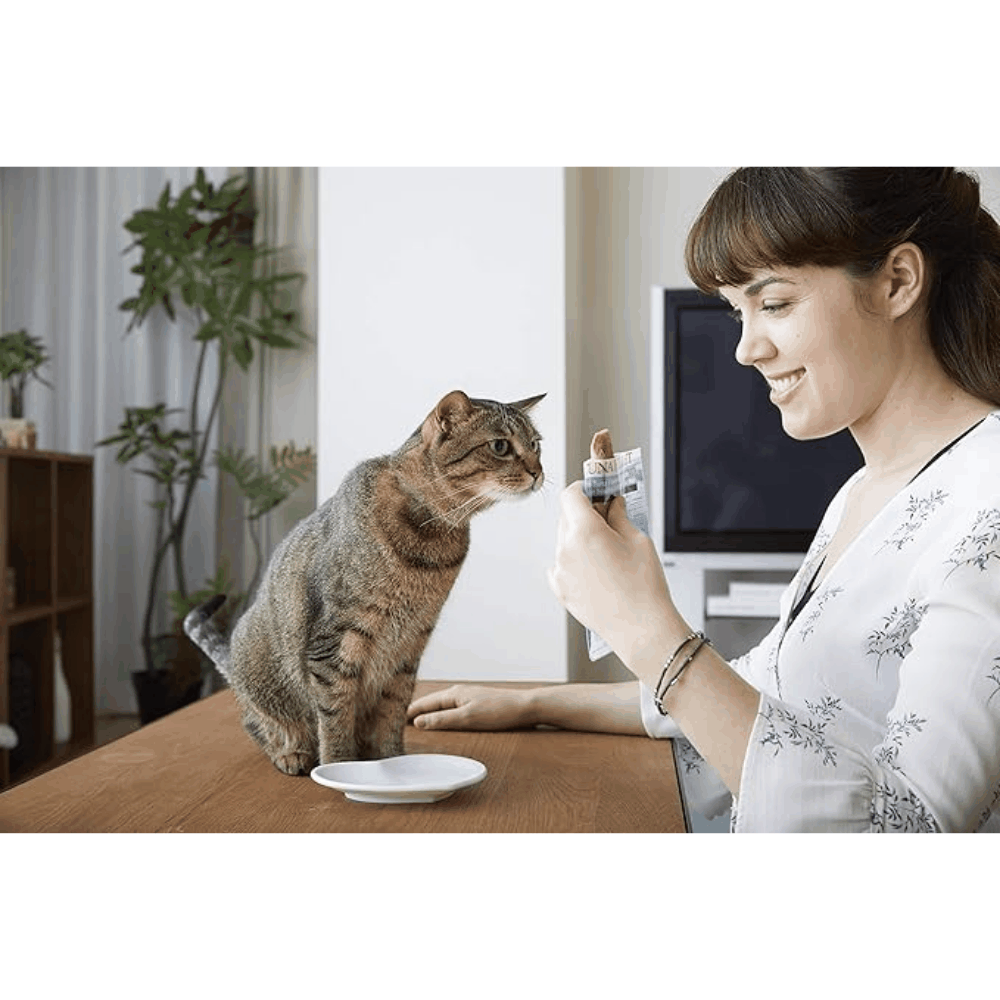 Woman holding a smartphone with a cat looking at it in a home setting