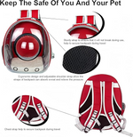 Bomei Pet Backpack TransparentPet Bag for cats and small dogs