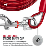 Large Dog Tie-Out for Dogs Up To 60LBS Petfast.shop Generic Dog leash & Coller & Harness Supplies petfast.shop EgyptDefault Title 650.00
