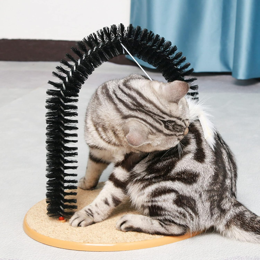Cat using a self-grooming brush on a light-colored surface with a blue curtain in the background.