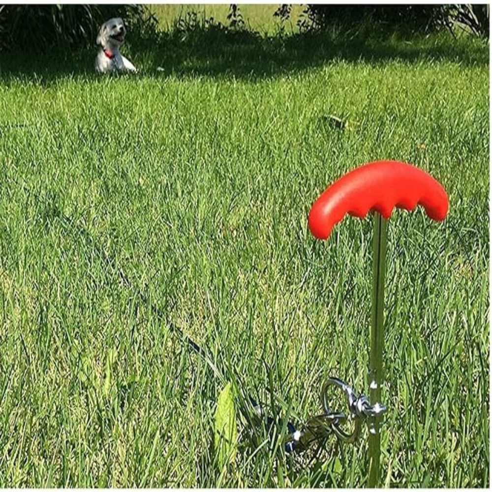 20ft Dog Tie Out Cable And Stake Set Small Large Dog Ground Field Spike Stake Petfast.shop Generic Dog leash & Coller & Harness Supplies petfast.shop EgyptDefault Title 1200.00