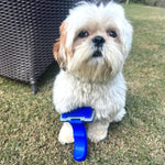 Nunbell Pet Slick Brush Petfast.shop Nunbell Brushes Combs and Clippers Cat Dog Supplies petfast.shop EgyptLarge 210.00