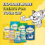 Catnip treats for cats with a cartoon cat on a yellow background