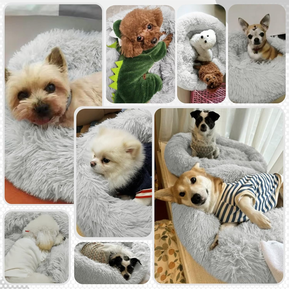 Collage of dogs in various poses and settings with soft textures.