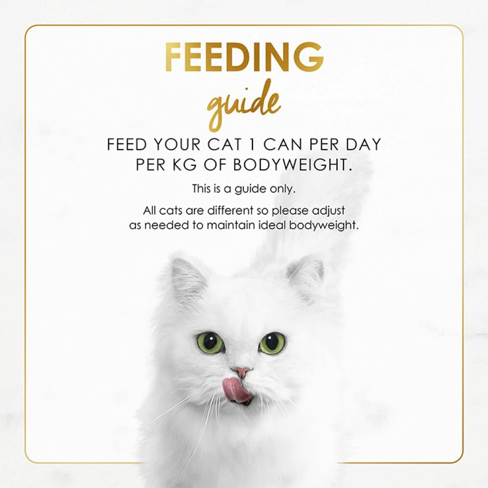 White cat with feeding guide text on a white background