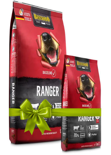 Two packages of Bricano dog food with a green bow on a white background