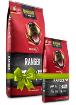Two packages of Bricano dog food with a green bow on a white background