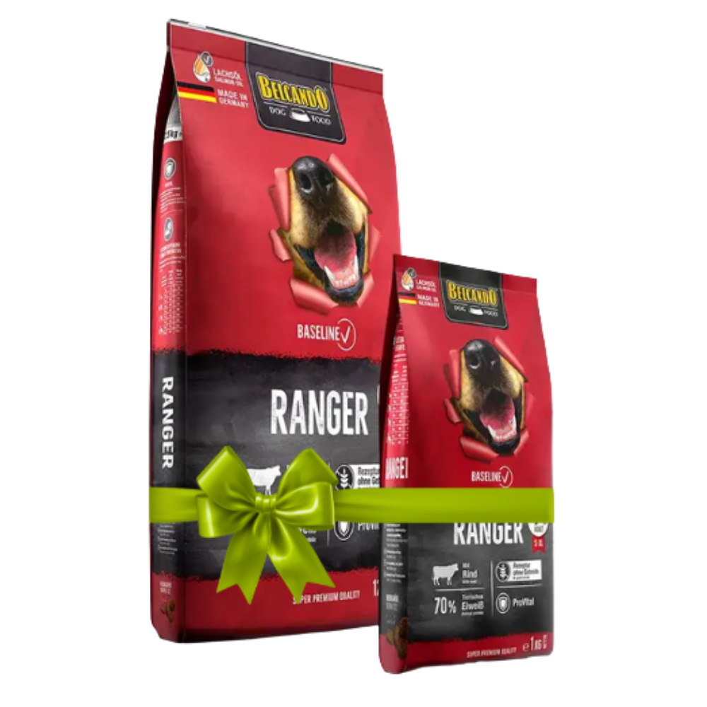 Two packages of Bricano dog food with a green bow on a white background