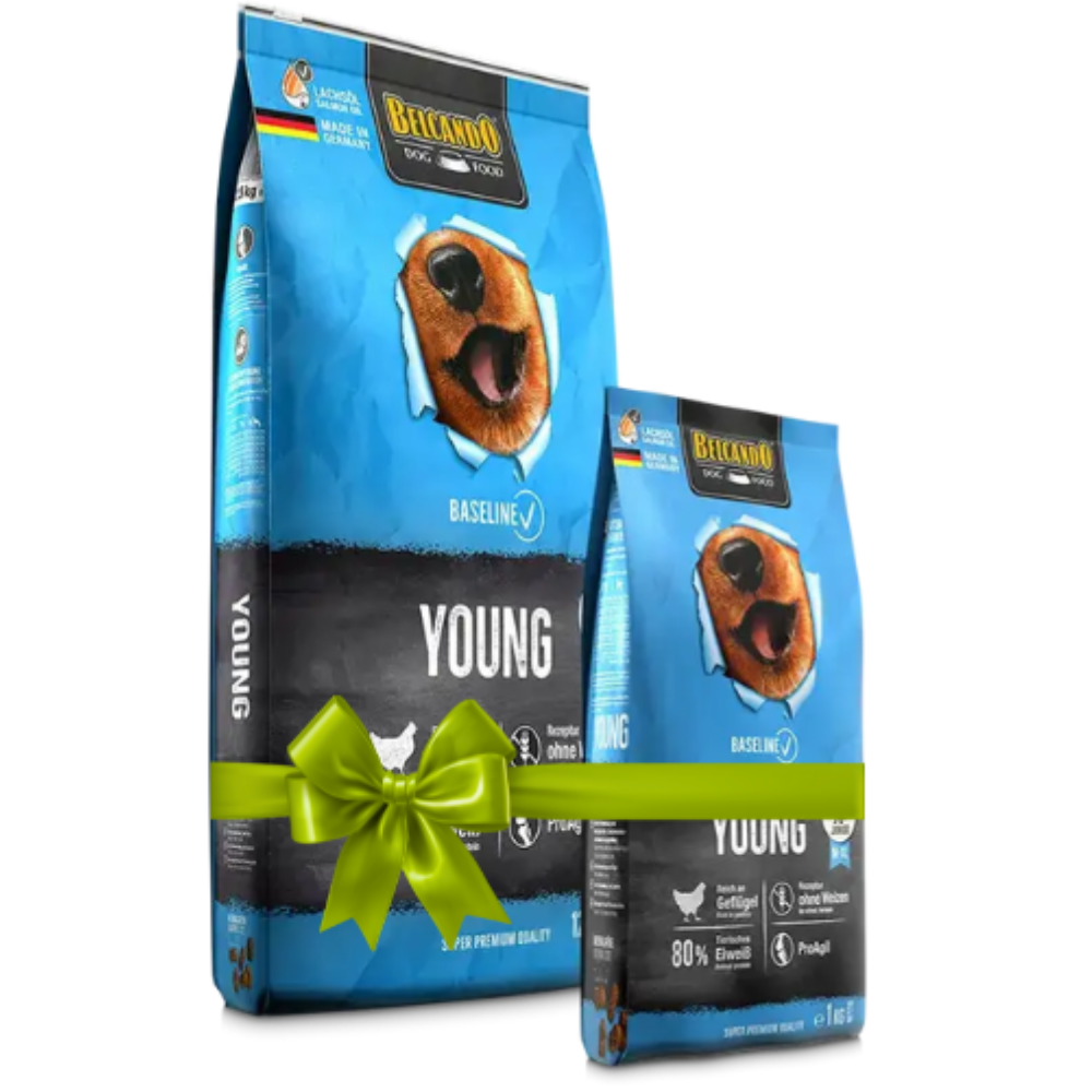 Two packages of Biconno Young dog food with a green bow on a white background