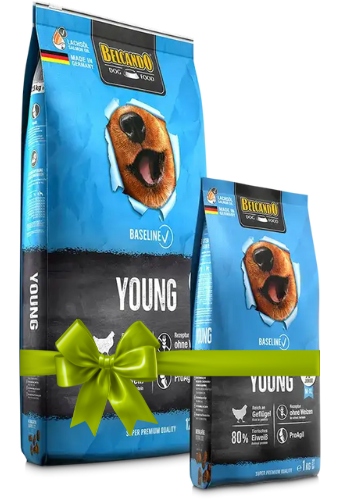 Two packages of Biconno Young dog food with a green bow on a white background