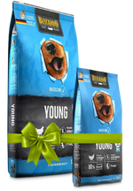 Two packages of Biconno Young dog food with a green bow on a white background