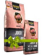 Two packages of Bixxano Joker dog food with a green bow on a white background