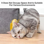 Wall Mount Cat Brush.