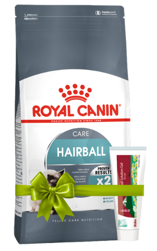 Royal Canin Hairball care cat food package with a green bow on a white background