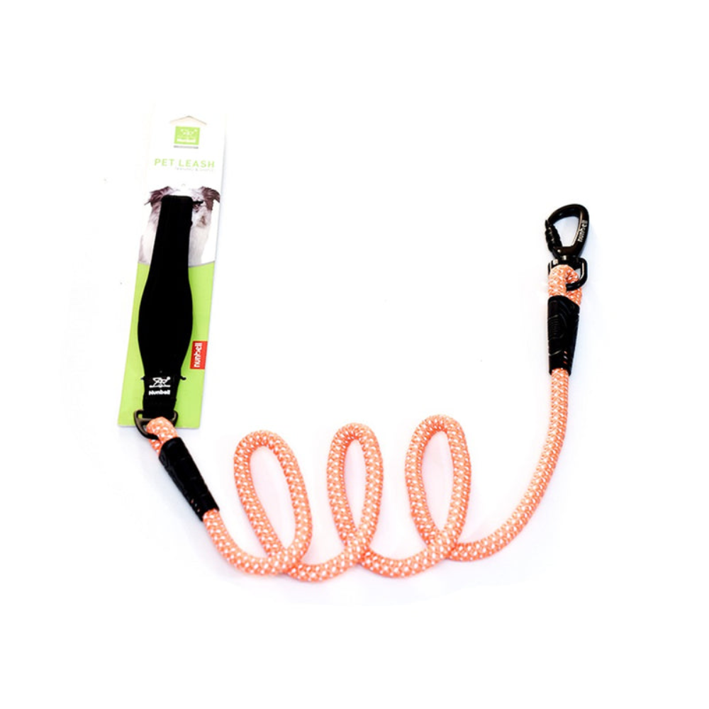 Dog leash with black handles on a white background