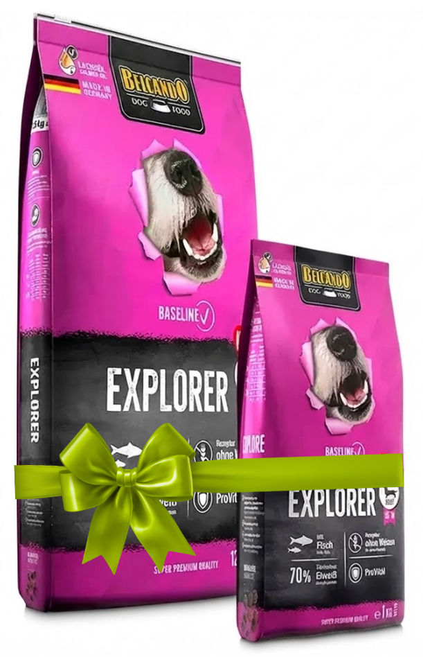 Two packages of Blackwood Explorer dog food on a white background