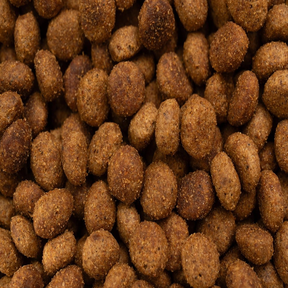 Close-up of brown pet food pellets