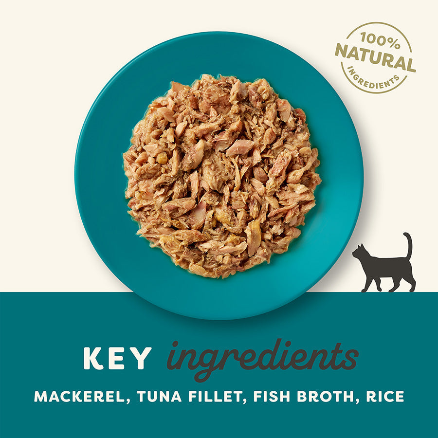 Applaws Natural Ocean Fish in Broth Wet Cat Food 70g.
