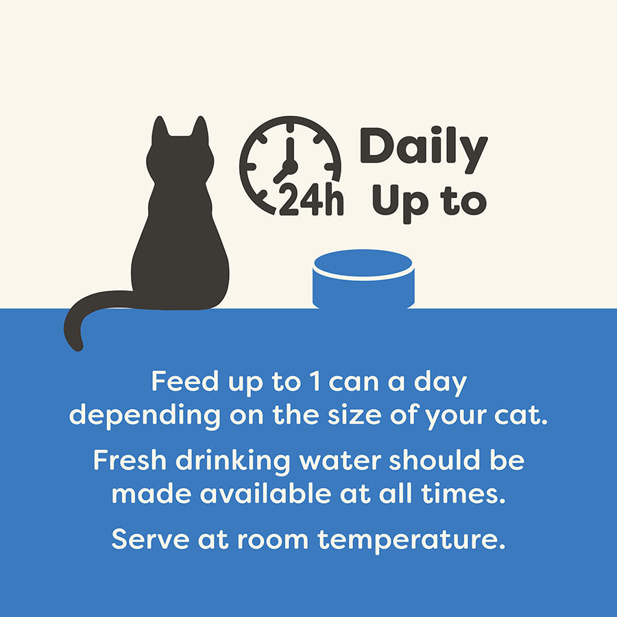 Applaws Natural Ocean Fish in Broth Wet Cat Food 70g.