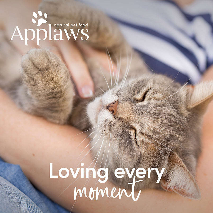 Applaws Natural Chicken Breast & Pumpkin in Broth Wet Cat Food 70g.