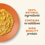 Applaws Natural Chicken Breast & Pumpkin in Broth Wet Cat Food 70g.