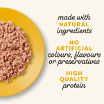 Applaws Natural Kitten Chicken Wet Cat Food in Jelly 70g.