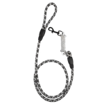 حبل مقود للكلاب - خلفية بيضاء
