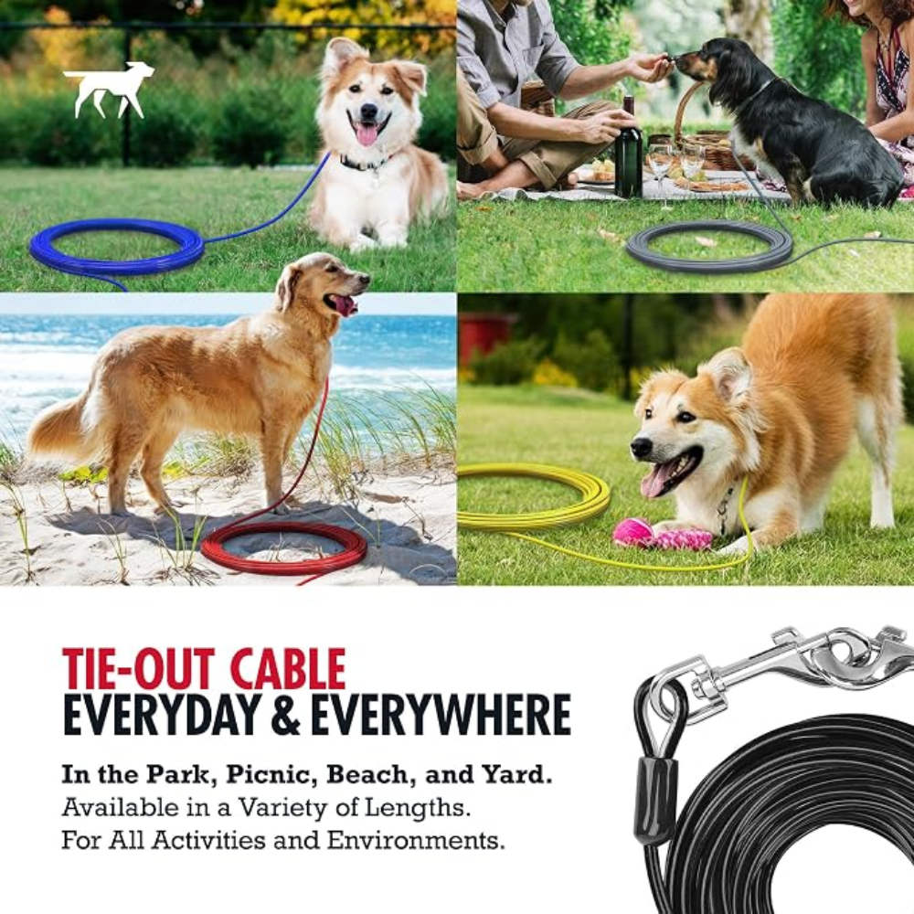 Large Dog Tie-Out for Dogs Up To 60LBS Petfast.shop Generic Dog leash & Coller & Harness Supplies petfast.shop EgyptDefault Title 650.00