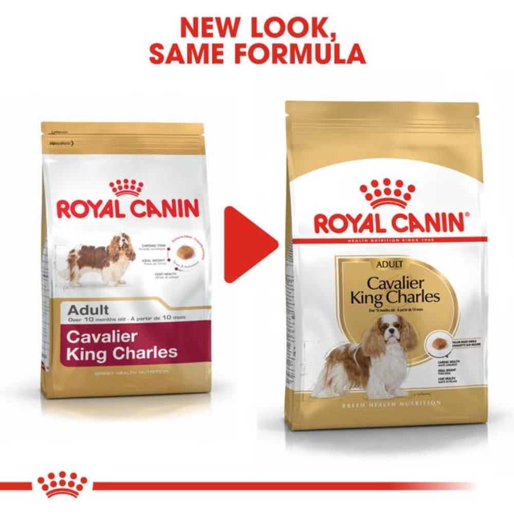 Royal Canin Cavalier King Charles 3Kg Petfast.shop Royal Canin Dog Dry Food Exclude Food petfast.shop EgyptDefault Title 2300.00