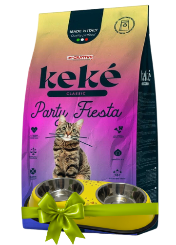 Cat food package with a cat and two bowls, featuring a colorful gradient design.