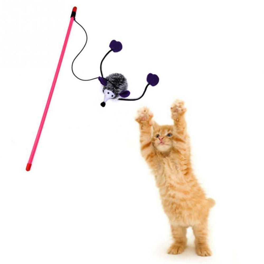 Cat toy with a mouse attachment and a cat reaching for it on a white background