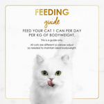 White cat with feeding guide text on a white background