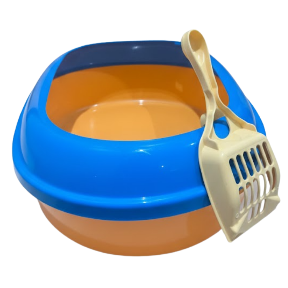 Blue and orange pet food bowl with a scoop on a white background