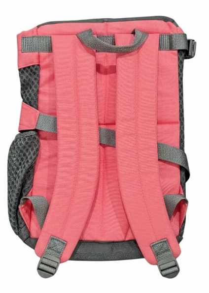 Back view of a pink backpack with gray straps on a white background