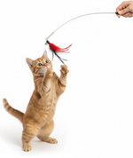 Nunbell Cat Toys fishing rods With Bell