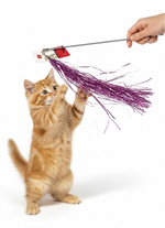 Nunbell Cat Toys Fishing Rods