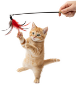 Nunbell Cat Toys fishing rods With Bell