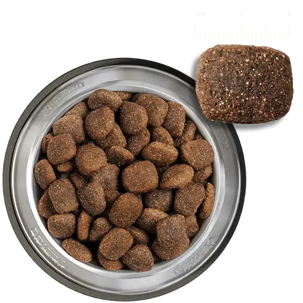 Belcando Adult Active Dog Dry FoodM-XL 4 kg.