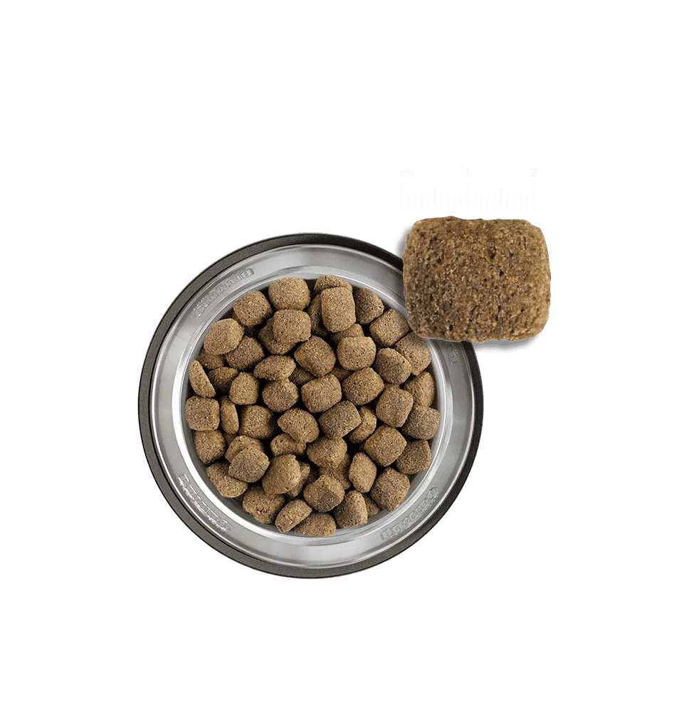 Belcando Maxi Junior Dry Food 22.5 Kg.